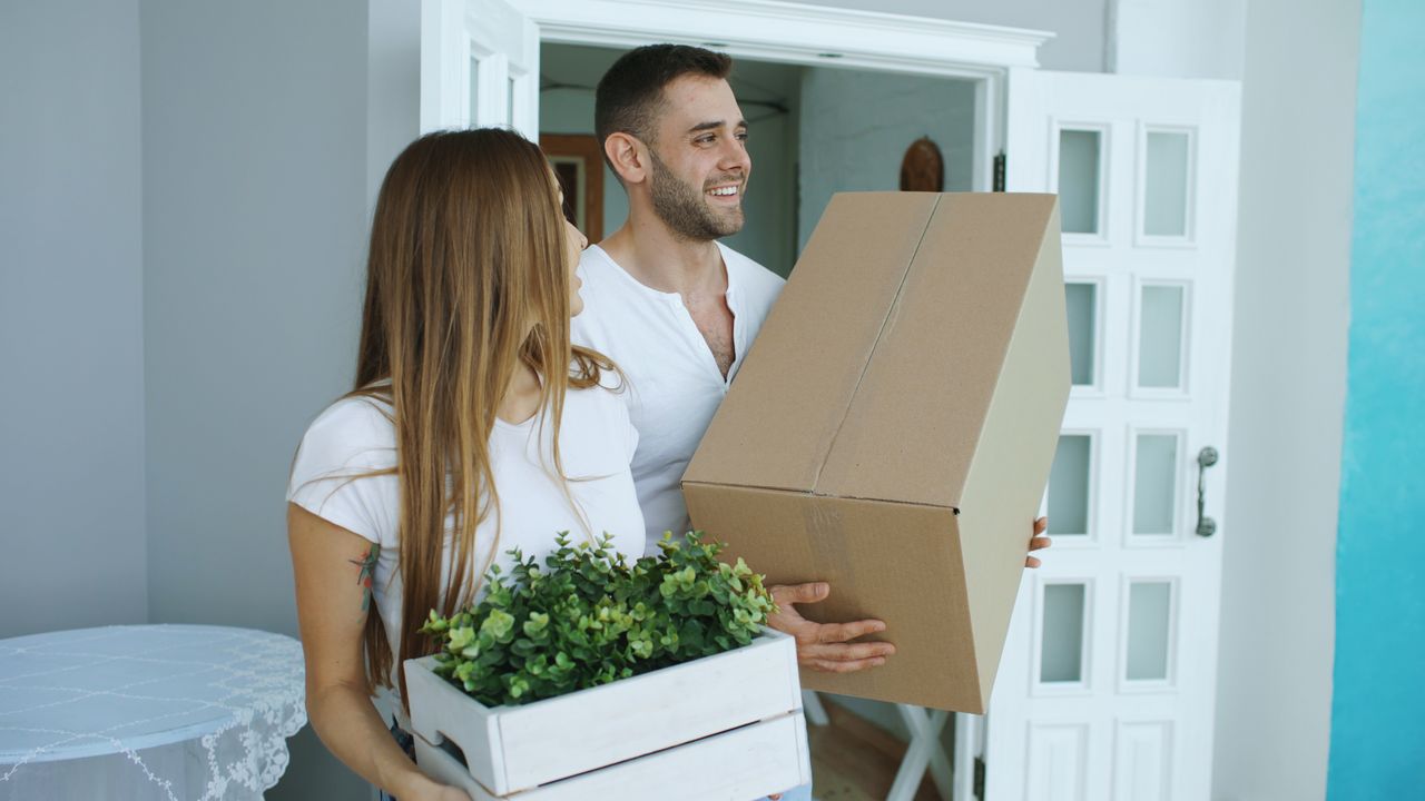 Happy couple moving into their new home carrying a box and a plant, ready to start a new life together.